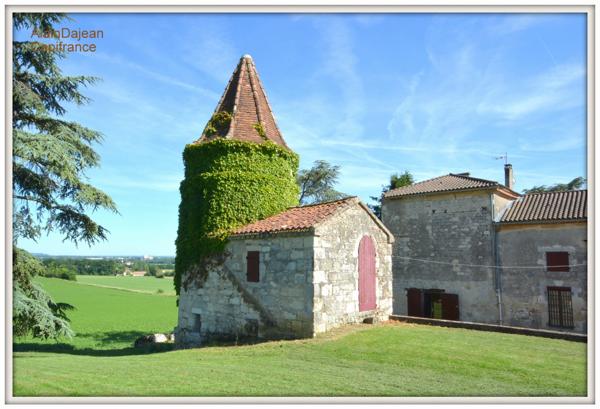 Dpt Lot et Garonne (47), à vendre proche d' AGEN Propriété P8 de 385 m² plus dépendances de 400 M2- Terrain de 25 HA