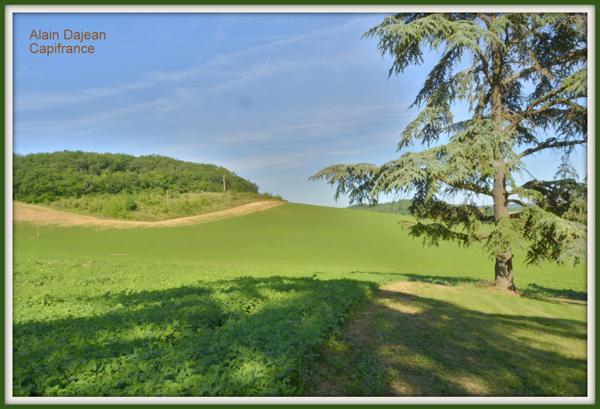 Dpt Lot et Garonne (47), à vendre proche d' AGEN Propriété P8 de 385 m² plus dépendances de 400 M2- Terrain de 25 HA