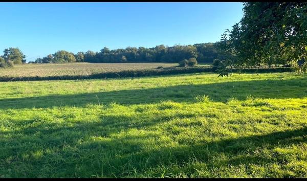 Constructible - 1440 m²