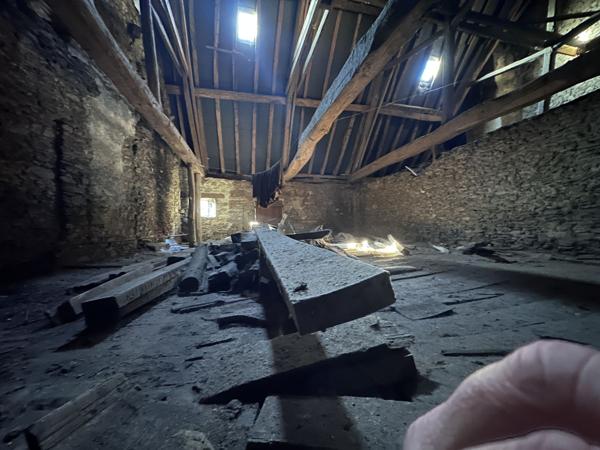 Maison 4 pièces - 61 m² Exclusivité efficity