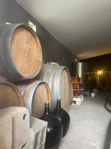 Vente                                                      Maison
                        
                     6 pièces                      178 m2                     à Estagel