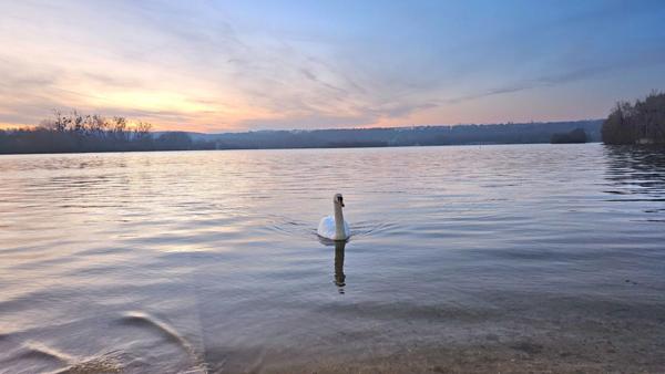 95000 CERGY - MURS, maison à réhabiliter près d'hôtel prestige terrain 685 m²