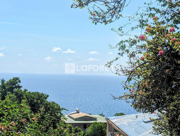 Achat terrain Bouillante - 5025 m² - 477 000 €