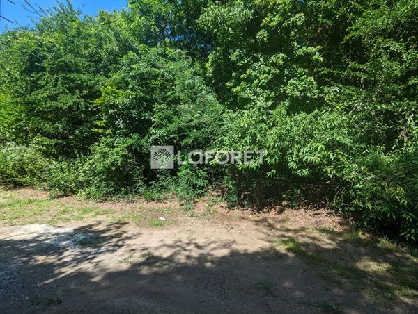 Achat terrain Bouillante - 5025 m² - 477 000 €