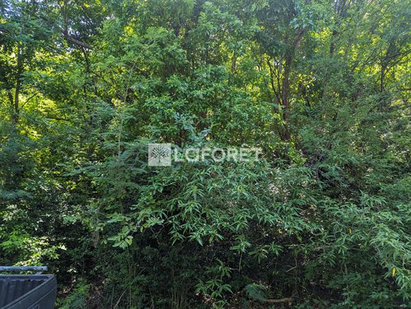 Achat terrain Bouillante - 5025 m² - 477 000 €