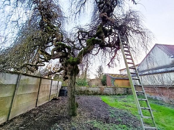 SAINTE MENEHOULD - RUE DROUET
Une maison d'habitation de 244m² avec jardin clos sur l'arrière