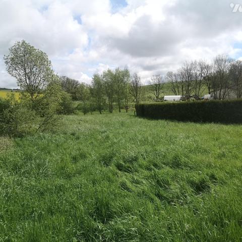 ERIZE ST DIZIER Terrain constructible