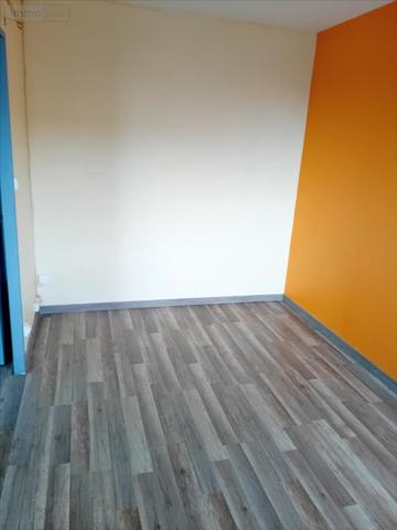 Appartement ancien à vendre à Le Mans dans la Sarthe (72000), ref : 72012-1053116