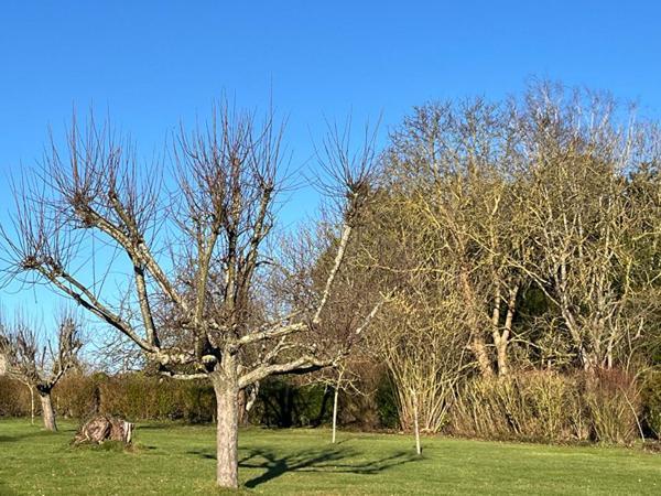 Maison  6 pièce(s) 140 m2 - Terrain 2556m²