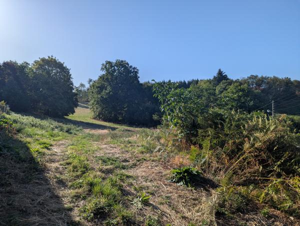 Terrain
        
        - 4200 m² Exclusivité 68 000 € *