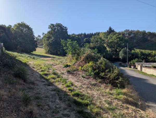 Terrain
        
        - 4200 m² Exclusivité 68 000 € *