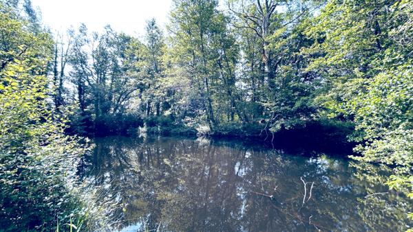 A VENDRE MAISON EN PIERRE AVEC TERRAIN ET ETANG - SECTEUR COUTRAS , Coutras A VENDRE MAISON EN PIERRE AVEC TERRAIN ET ETANG - SECTEUR COUTRAS , Coutras