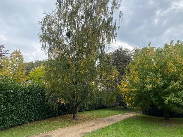 MAISON DE PLAIN PIED SANS TRAVAUX - LA FLECHE EXCLUSIVITE