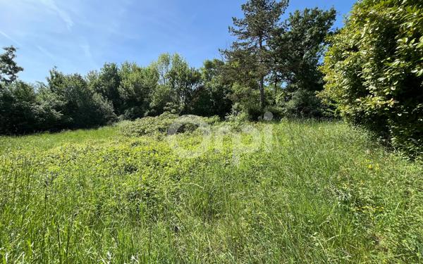 Terrain à vendre