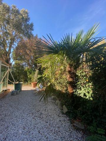 Maison de campagne d'environ 170m² avec piscine sur terrain de 4.739m² Bram (11150)