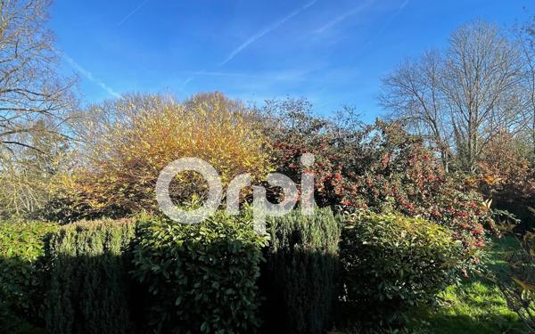 Maison à vendre    4 pièces • 2 587 m2 Saillat-sur-Vienne