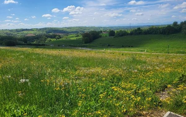 Vente Terrain Lasseran   