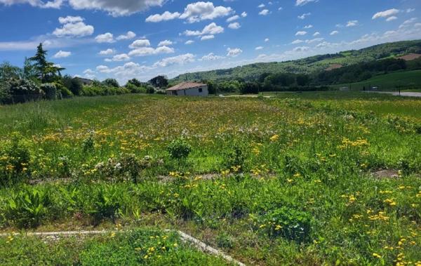 Vente Terrain Lasseran   