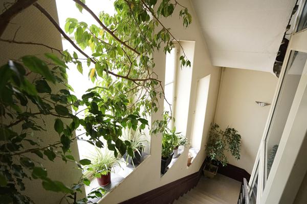 Appartement Lyon 3 pièce(s) 83.03 m2