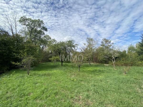 Vente / Maison à Sermaize-les-Bains (51250)