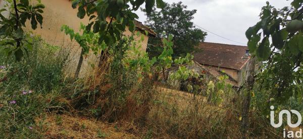 Maison à vendre 1 pièce 176 m² Manses