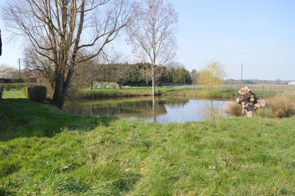 À Vendre : Corps de ferme avec potentiel locatif au Petit-Pressigny