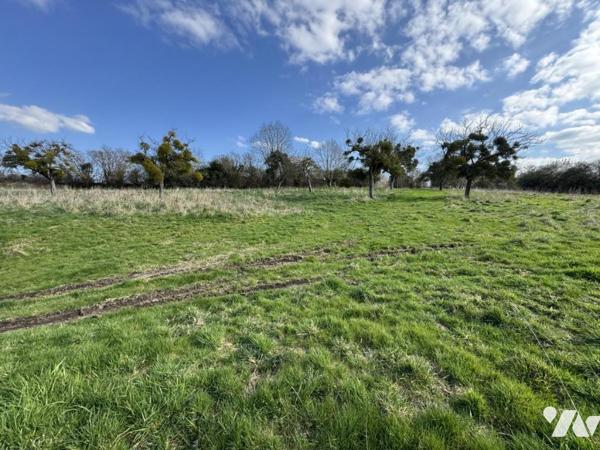Parfaitement au calme avec vue dégagée