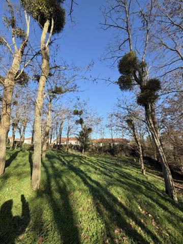 Terrain à Batir à vendre à Cholet dans le Maine-et-Loire (49300), ref : 49055-82