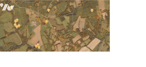 Diverses parcelles en nature de futaie