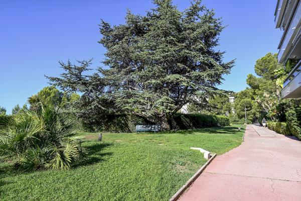 Appartement 2 pièces - 87 m²