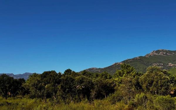 Maison à vendre    6 pièces •  Porto-Vecchio