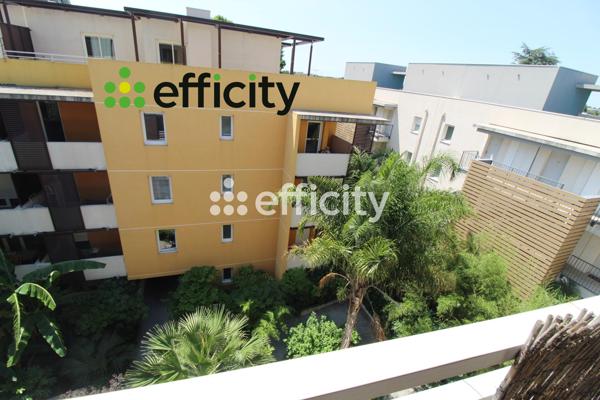 Appartement 3 pièces - 62 m² Exclusivité efficity