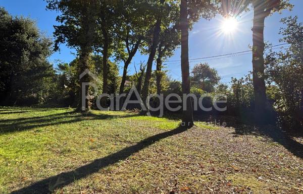 Terrain Parc boisé 1588 m2 - proche plage