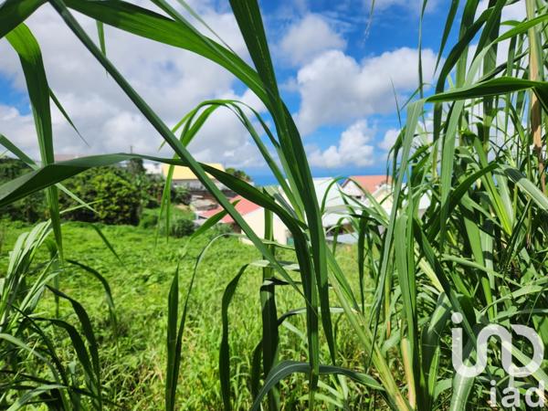 Terrain à vendre 1 200 m² Le Tampon