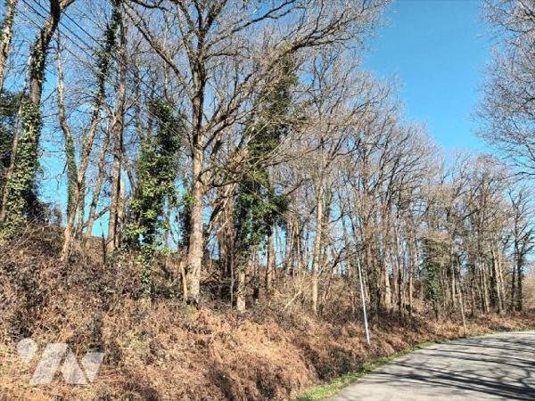 A vendre à Saint Fraimbault de prières(53), un taillis de 1 640 m².