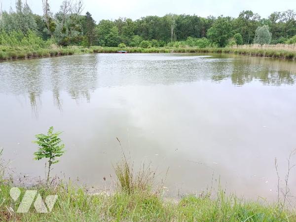 ETANG DANS UN ECRIN DE VERDURE SAUVAGE A FRESNES, 5 MNS DE CONTRES