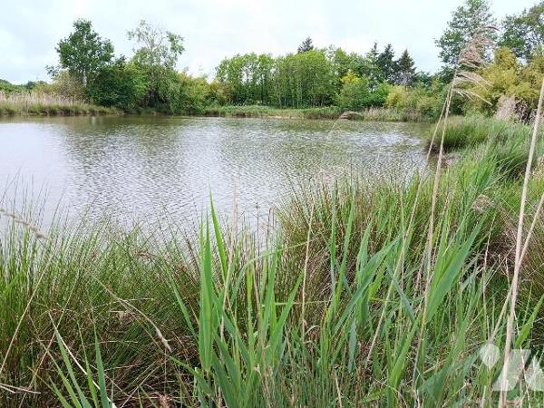 ETANG DANS UN ECRIN DE VERDURE SAUVAGE A FRESNES, 5 MNS DE CONTRES