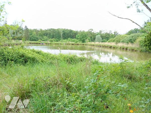 ETANG DANS UN ECRIN DE VERDURE SAUVAGE A FRESNES, 5 MNS DE CONTRES