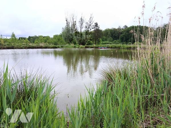 ETANG DANS UN ECRIN DE VERDURE SAUVAGE A FRESNES, 5 MNS DE CONTRES