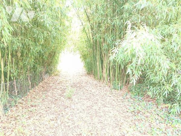 ETANG DANS UN ECRIN DE VERDURE SAUVAGE A FRESNES, 5 MNS DE CONTRES