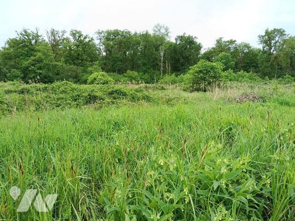 ETANG DANS UN ECRIN DE VERDURE SAUVAGE A FRESNES, 5 MNS DE CONTRES