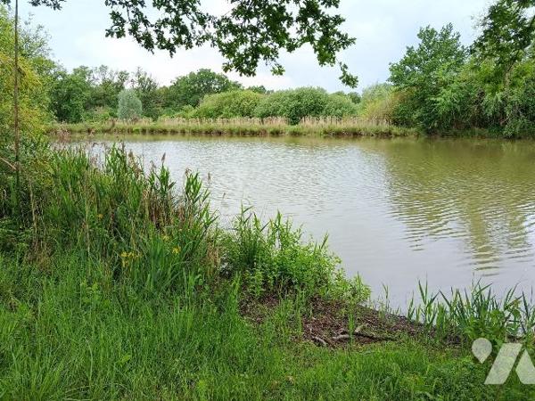 ETANG DANS UN ECRIN DE VERDURE SAUVAGE A FRESNES, 5 MNS DE CONTRES