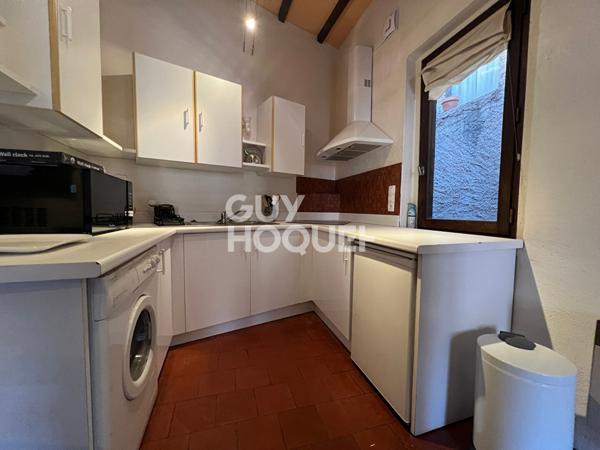 Appartement Albi 1 pièce