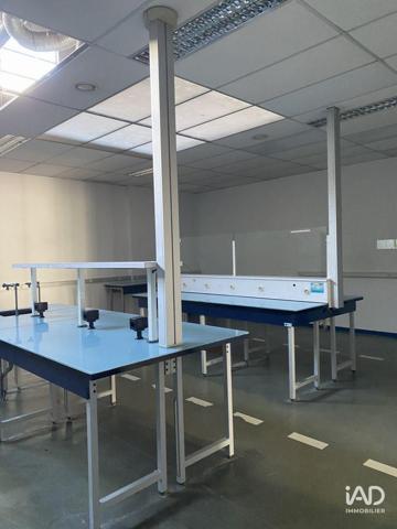 Murs commerciaux  à vendre 564 m² Doué-en-Anjou