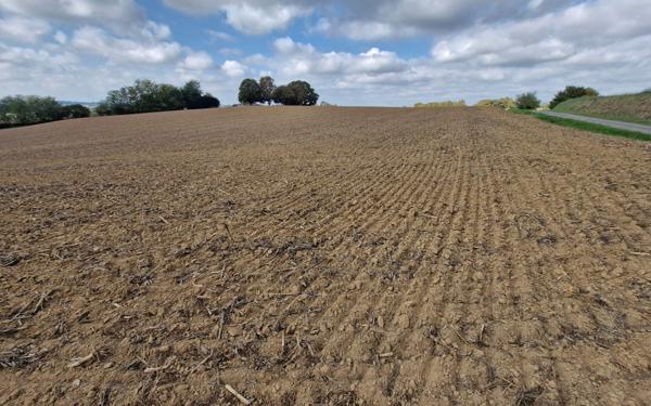 Terrain à vendre    Saint-Aubin