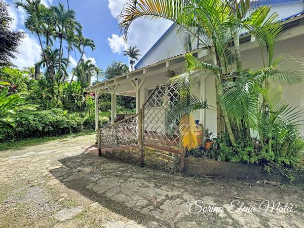 Maison avec piscine au cœur d’un écrin tropical - 5 pièces PETIT BOURG (971)