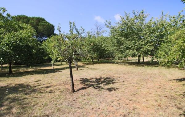 Vente Maison Puy-l'eveque   