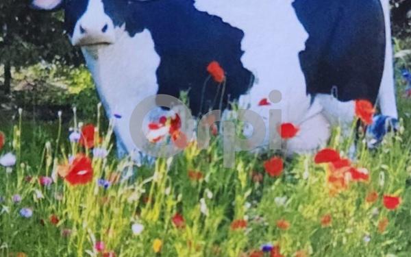 Maison à vendre    3 pièces •  Aytré