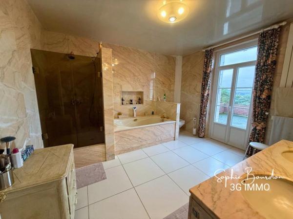 Vente / Maison de maître