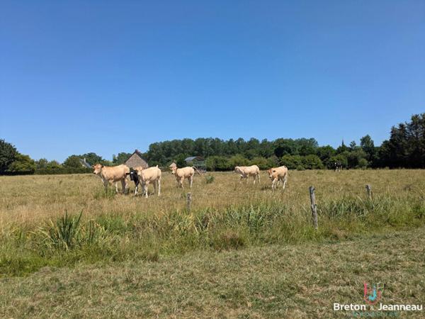 Maison en pierre avec étang sur 9 hectares à 5 min d'Évron